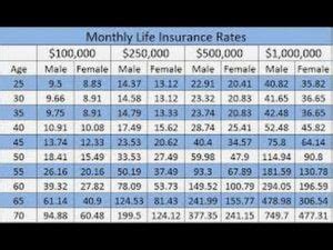 term life insurance rates | Best Insurance Info on the Web