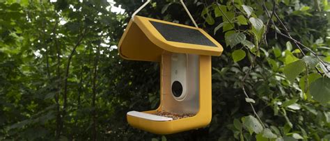 Bird Buddy Smart Bird feeder review | TechRadar