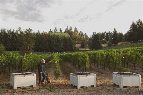 8 Must-Visit Willamette Valley Wineries | Wine Enthusiast