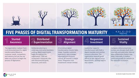 Phases of Digital Transformation Maturity: from Stunted Awareness to ...