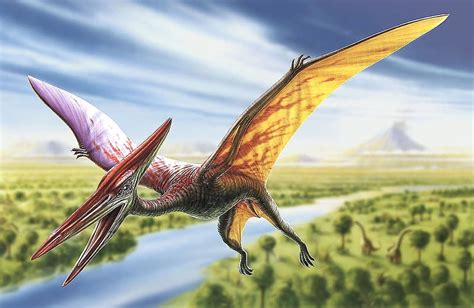 free download | Dinosaur, wings, dino, adrian chesterman, fantasy, HD wallpaper | Peakpx