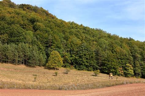 The Thuringian Forest stock image. Image of autumn, rural - 126956911