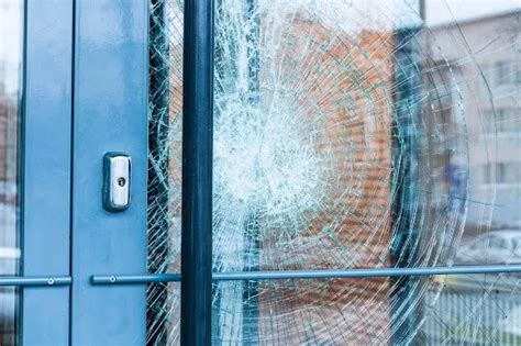 Common And Surprising Causes Of Window Screen Damage - Business News Day