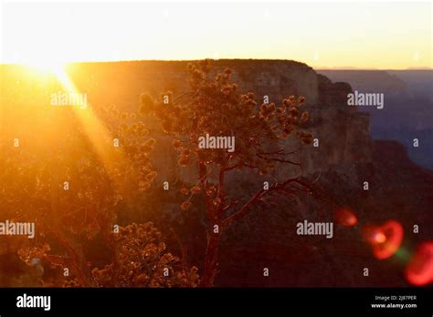 Grand Canyon sunrise Stock Photo - Alamy