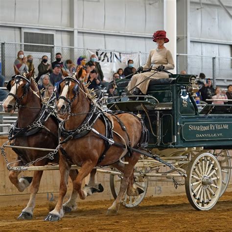 Draft Horse Shows 2024 - Gael Pattie