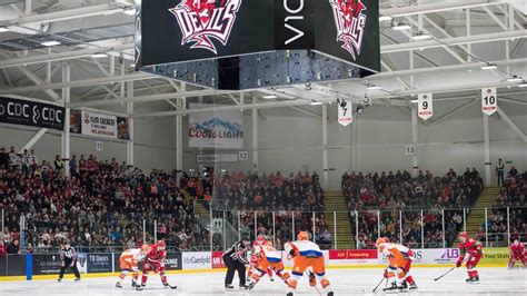 Cardiff Devils will 'come back stronger' as 2020-21 Elite Ice Hockey League season suspended ...