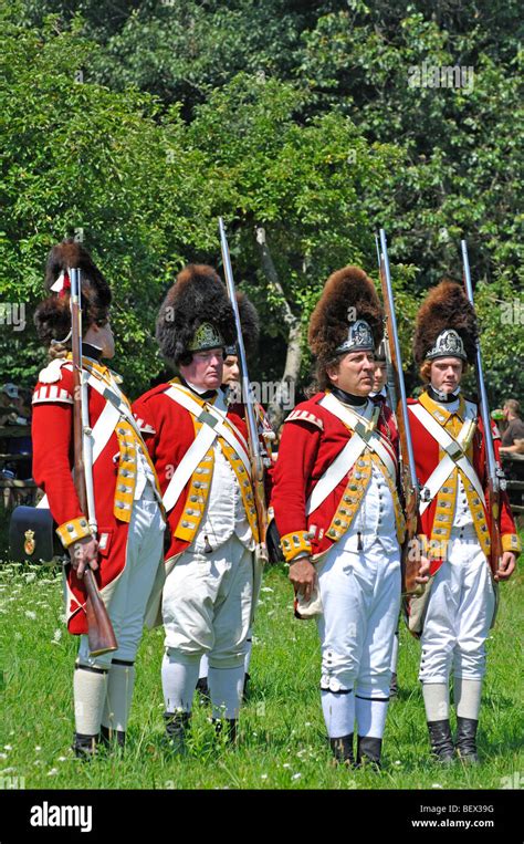 Reenactment: British Redcoats of 33rd Regiment of Foot, infantry regiment of the British Army ...