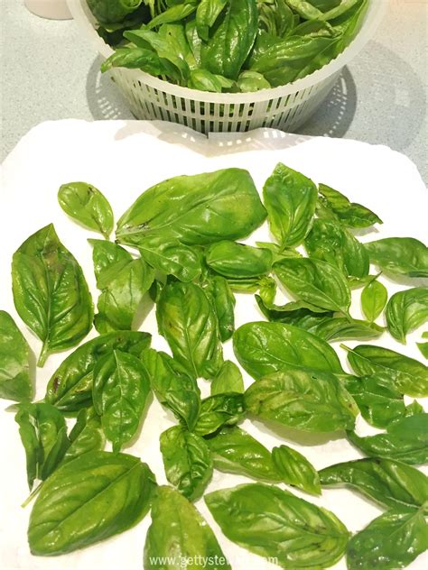 Die besten 25+ Basil leaves Ideen auf Pinterest