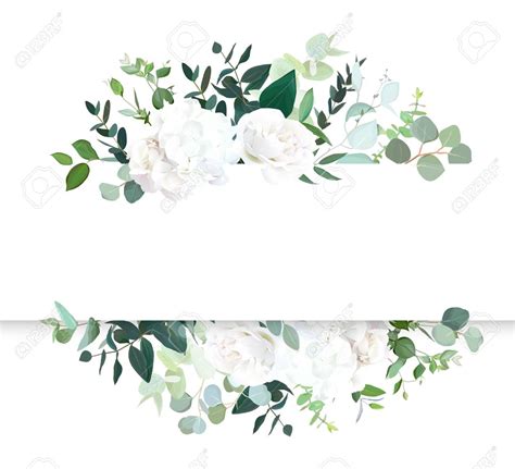 Wedding floral horizontal vector design banner. White rose and hydrangea, mint eucalyptus ...