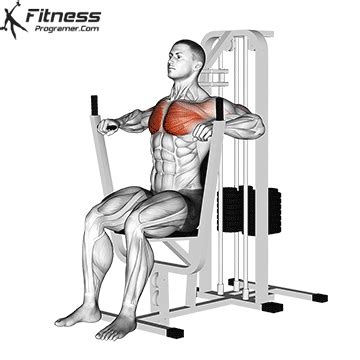 Chest » Workout Routine Created By Tim Golden