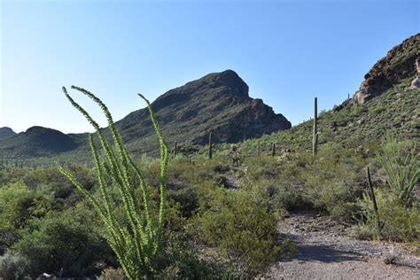 TUCSON MOUNTAINS HIKING TRAILS - Explore the Tucson Mountains