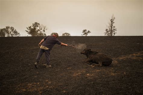 Australia Bushfires: Photos From the Deadly Blazes | Time