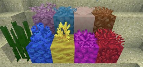 Corals Texture Pack | Minecraft PE Bedrock Texture Packs