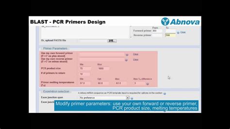 BLAST - PCR Primers Design - YouTube