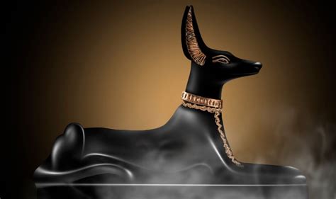 What Dog Breed Is Anubis? Interesting Facts & History | Pet Keen
