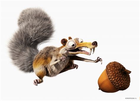 Scrat - Ice Age 3: dawn of the dinosaurs Photo (41363260) - Fanpop