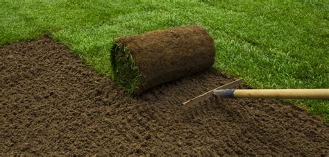 How to Lay Turf - Our Turf Laying Guide