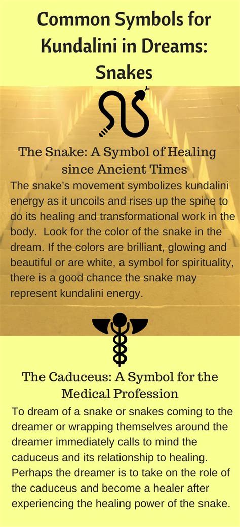 Common Symbols for Kundalini in Dreams: Snakes | Kundalini, Kundalini awakening, Spiritual ...