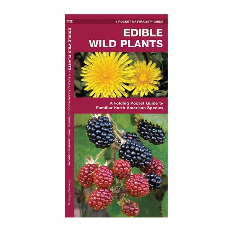 Edible Wild Plants Guide: Safe Foraging in North America