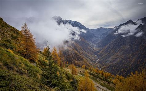 Fog rising from the autumn mountain forest wallpaper - Nature wallpapers - #42571