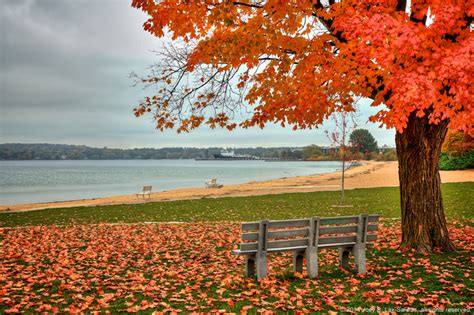 Traverse City Fall Photos - Michigan Fall Photography