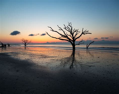 Botany Bay sunrise | Smithsonian Photo Contest | Smithsonian Magazine