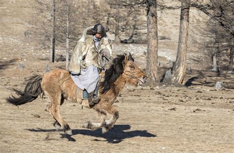 How A Handful of Yamnaya Culture Nomads Became the Fathers of Europe | Ancient Origins