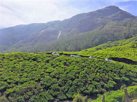 Road Trip to Munnar - Tea Gardens, Sightseeing, Dams, and Wildlife