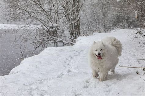 'Son of the Beast' snow pictures from across Ireland on March 2018 - Irish Mirror Online