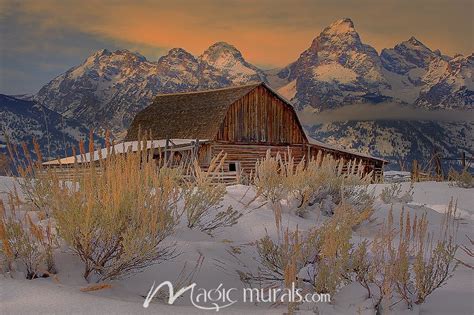 Winter Sunrise from Mormon Row Mural by Magic Murals