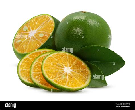 Calamansi or Green orange fruits isolated on white background Stock Photo - Alamy