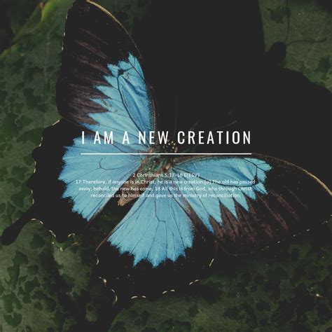 I Am a New Creation – Rooted, Built, Established