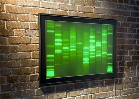 Quadri unici dal vostro dna e impronte digitali - BioBlog