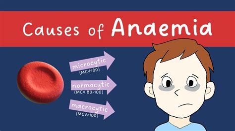 Anaemia causes (microcytic, normocytic, macrocytic) | MADE EASY! - YouTube