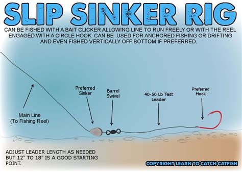 Slip Sinker rig #troutfishingrig | Catfish fishing, Catfish rigs ...