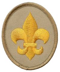 Scout Rank – Troop 123