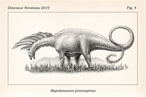 Bajadasaurus pronuspinax by FOSSIL1991 on DeviantArt