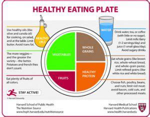 The New Harvard Healthy Eating Plate Diet, 2011 | MacroNutrients ...