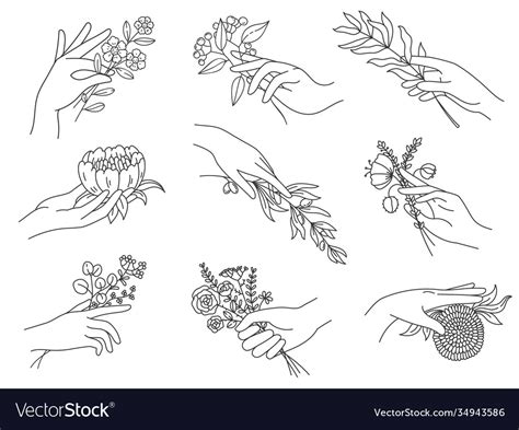 Hands holding flowers outline female hand Vector Image