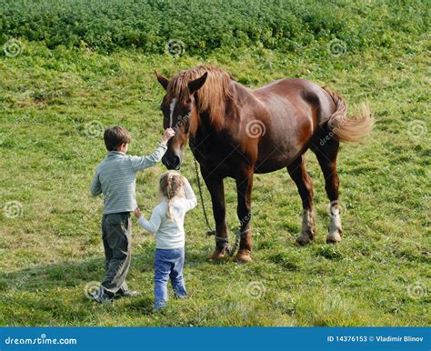 Kids and horses stock image. Image of horse, caress, children - 14376153