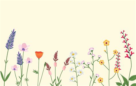 Variety of Wild Flowers Vector Illustration | free image by rawpixel ...