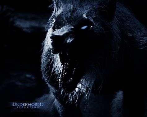 Underworld Werewolf William