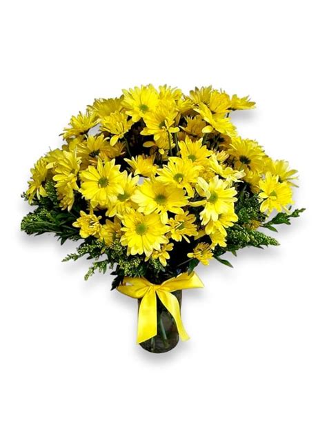 Daisy Day | Bloomingdays Flower Shop and Flower Delivery - Tampa, FL