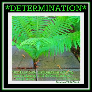 Self-Determination Quotes. QuotesGram