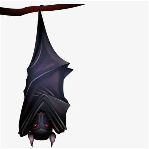 Hanging Bat Drawing | Free download on ClipArtMag