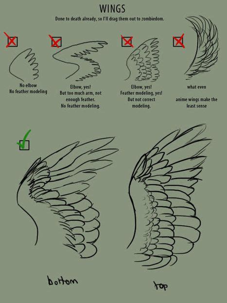 Drawing References and Resources | Drawing tips, Wings drawing, Art tutorials