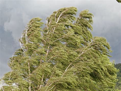 Fast-Moving Storm Blows Through Lake Elsinore, Winds Follow | Lake ...