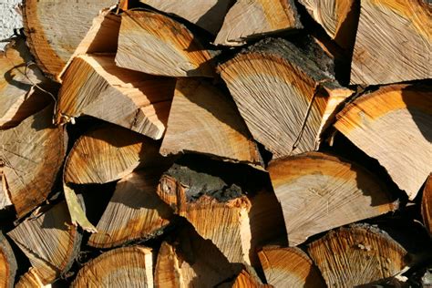 Seasoned vs. Unseasoned Firewood - Greenville SC