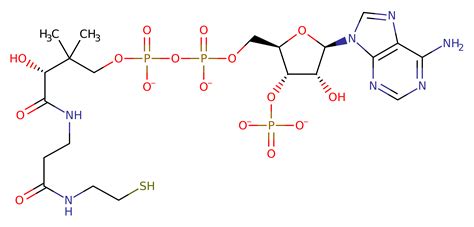 Succinyl Coa Structure