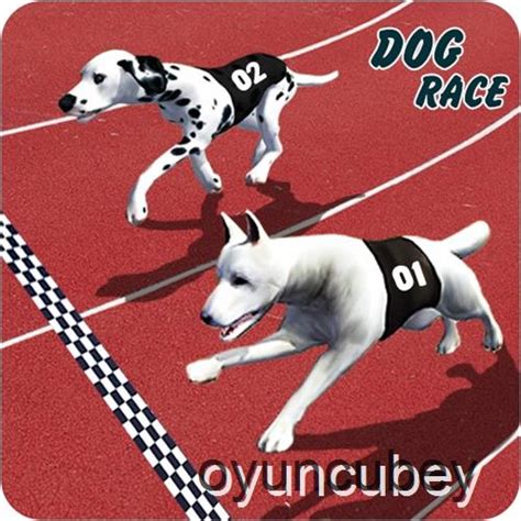 Crazy Dog Racing Fever Game 3D | Play Free Car Racing Games